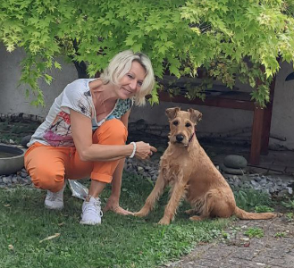 hund